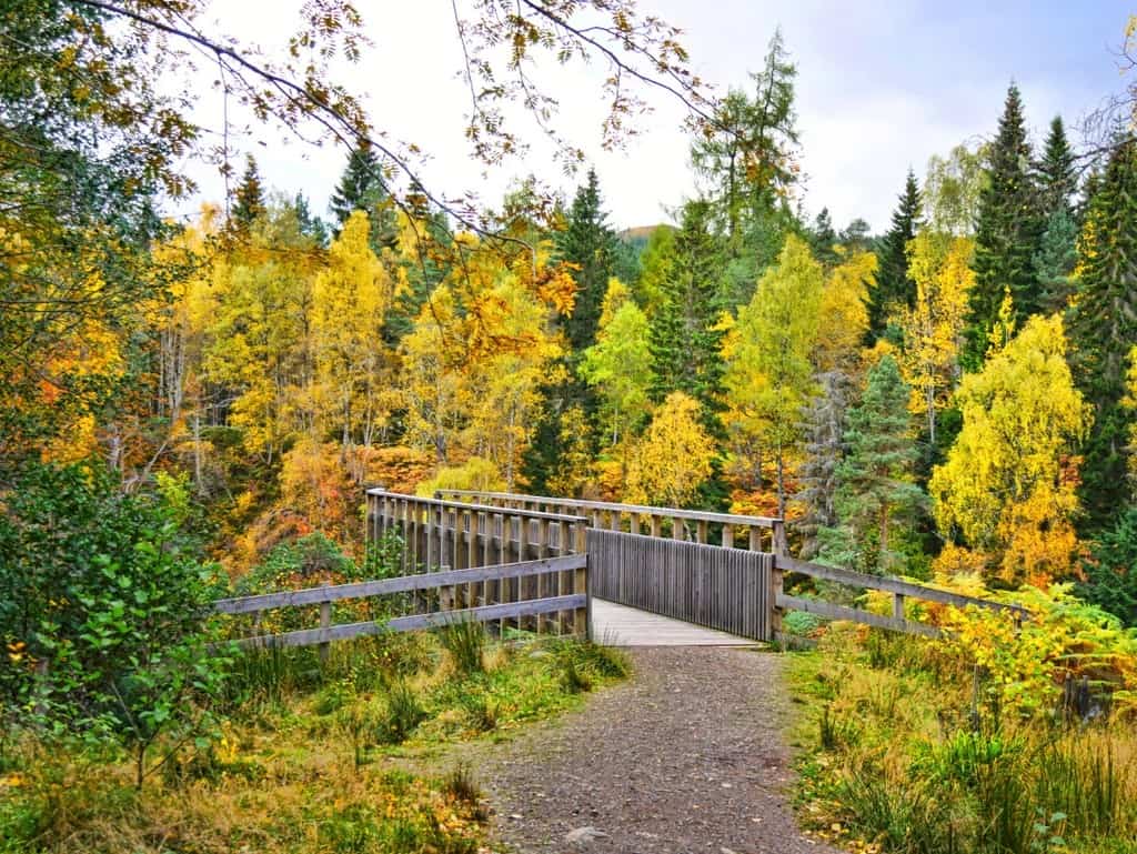 Plodda Falls viewing platform - West Highlands