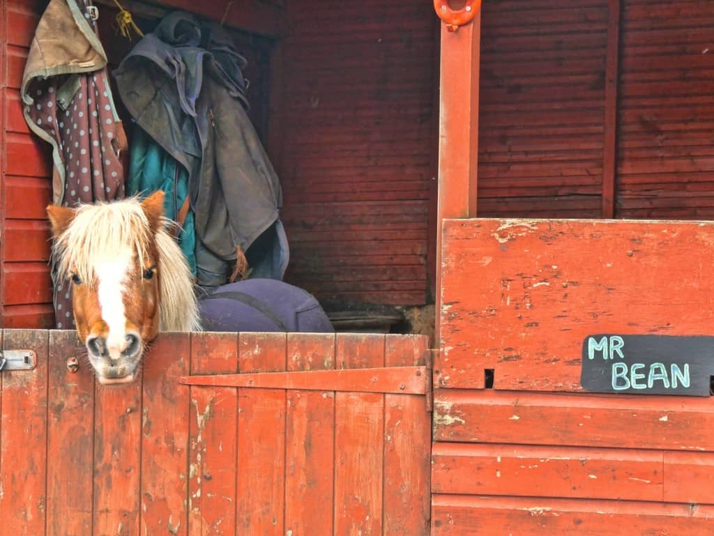 Burley Manor stables