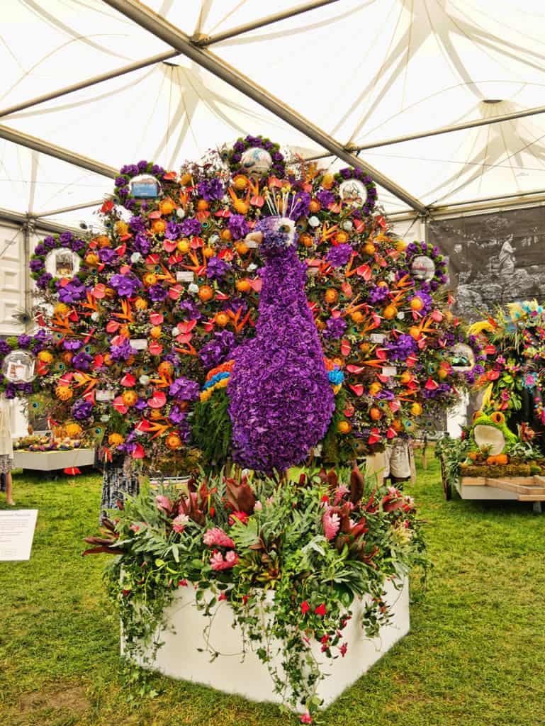 peacock-chelsea-flower-show