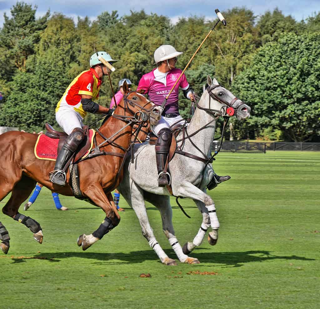 How to play polo like a pro