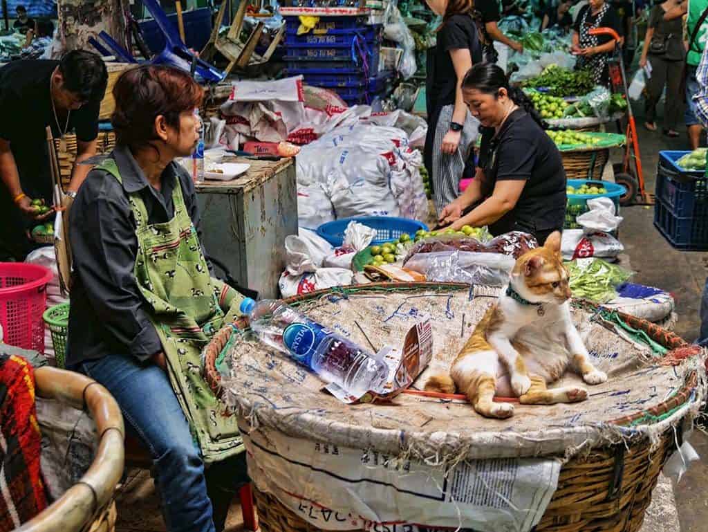 Bangkok 2 Day Itinerary - visit the flower market