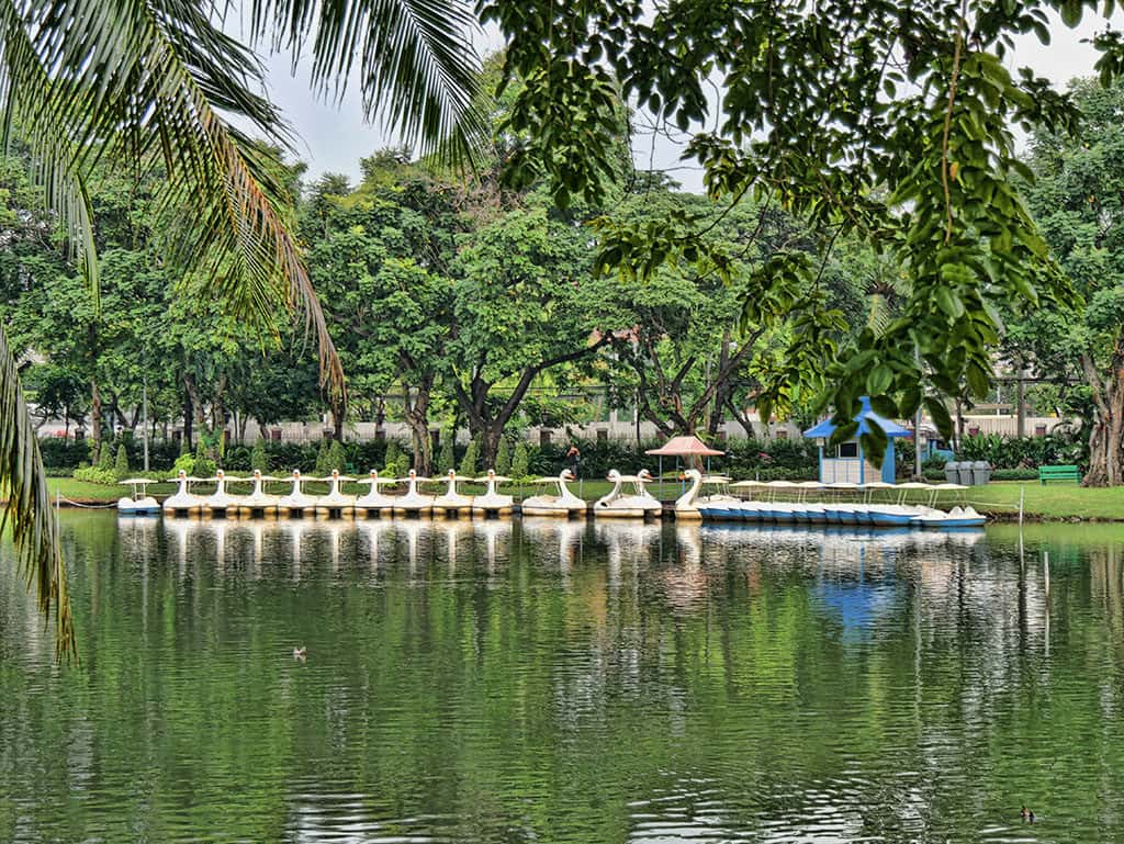 The swan boats in Lumpini Park, Bangkok, Thailand