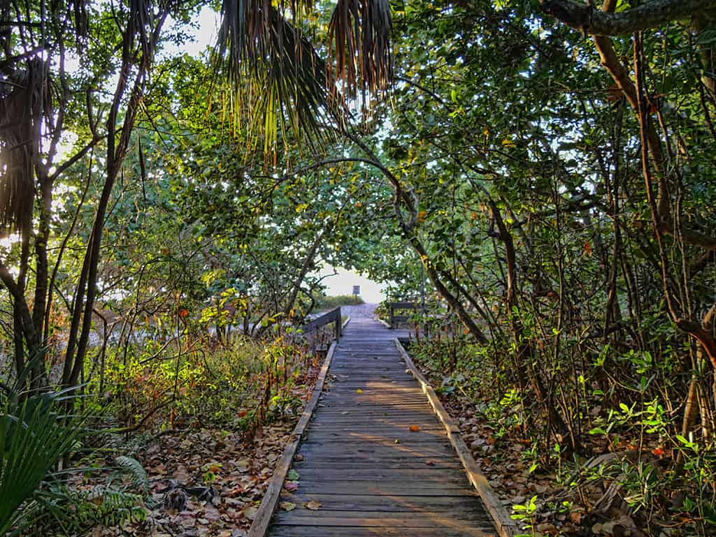 Delnor Wiggins State Park, FL, USA