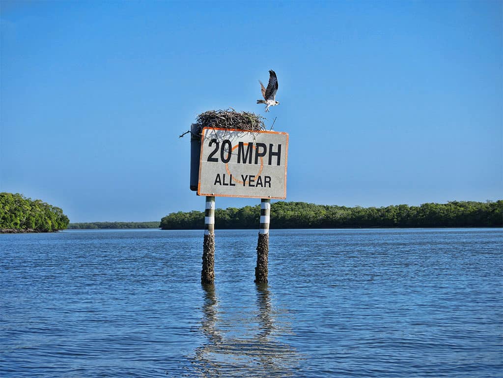 Seashell trip on 10,000 Islands near Marco Island, Paradise Coast, Florida, USA