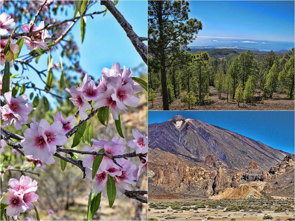 Best things to do in Canary Islands - Mount Teide landscape