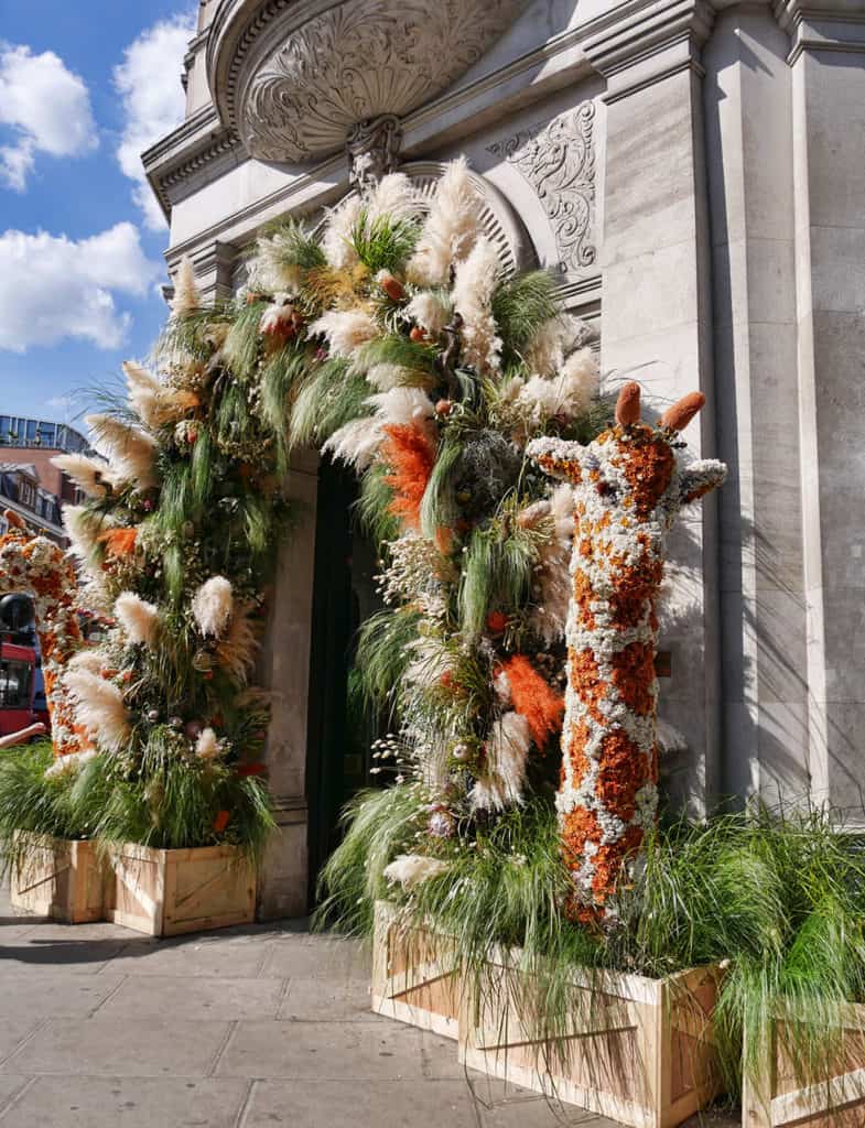 Chelsea in Bloom Duke of York Square
