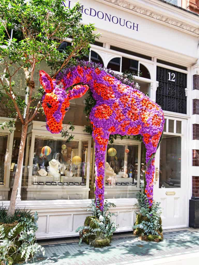 Chelsea Flower Show and Chelsea in Bloom