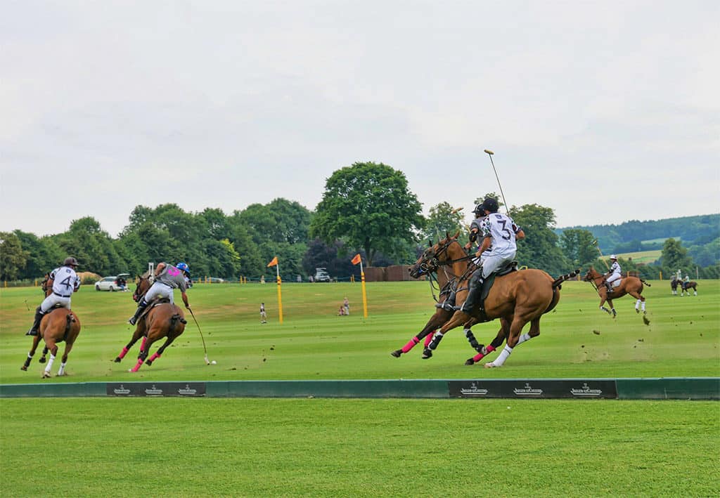 Cowdray Gold Cup