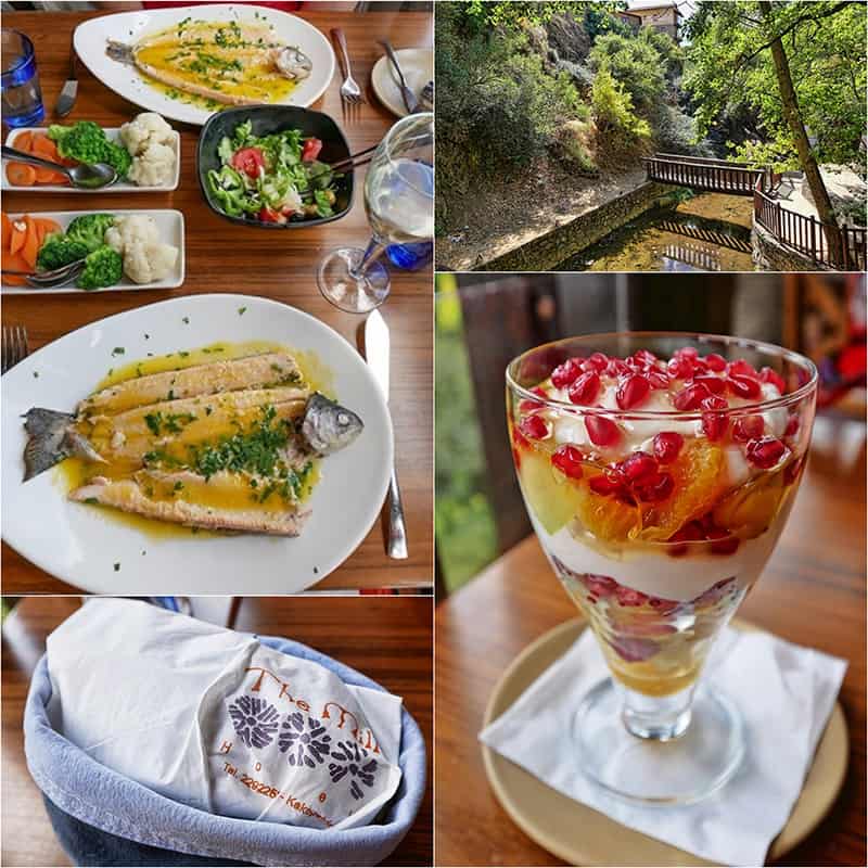 Lunch at the Mill Hotel and Restaurant in the Troodos Mountains, Cyprus