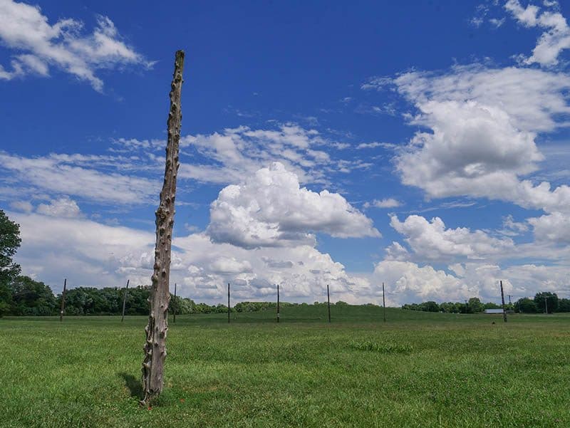 Woodhenge is a UNESCO World Heritage Site in Illinois