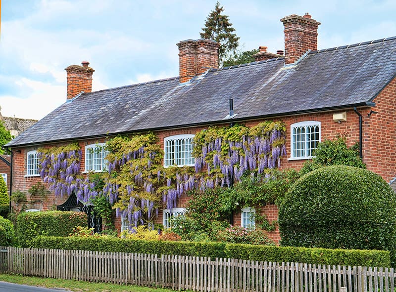 Things to Do in the New Forest, UK