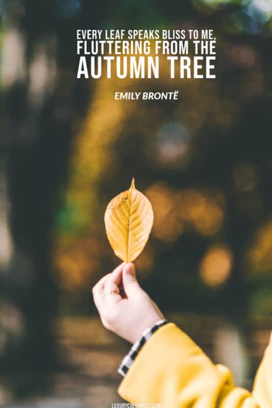 85-inspirational-fall-quotes-short-happy-and-funny-autumn-sayings