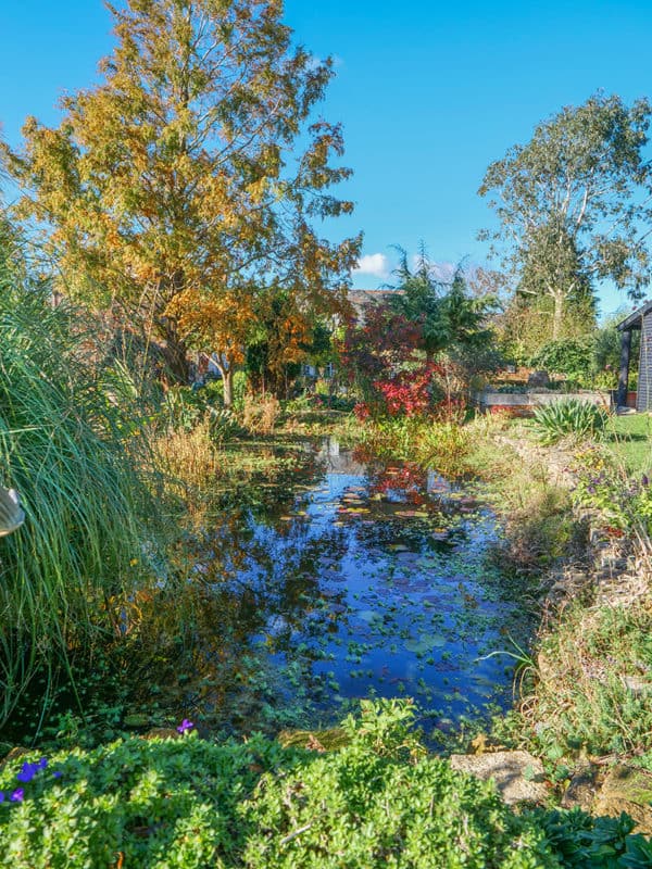 Luxury Dorset cottage hire