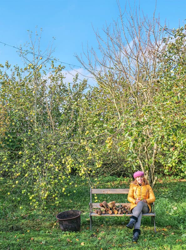 The orchard at Outbuildings