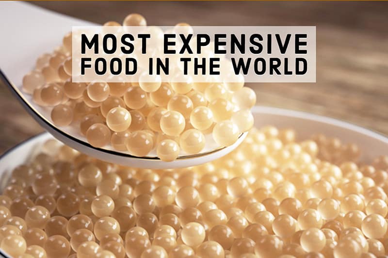 The most expensive food in the world
