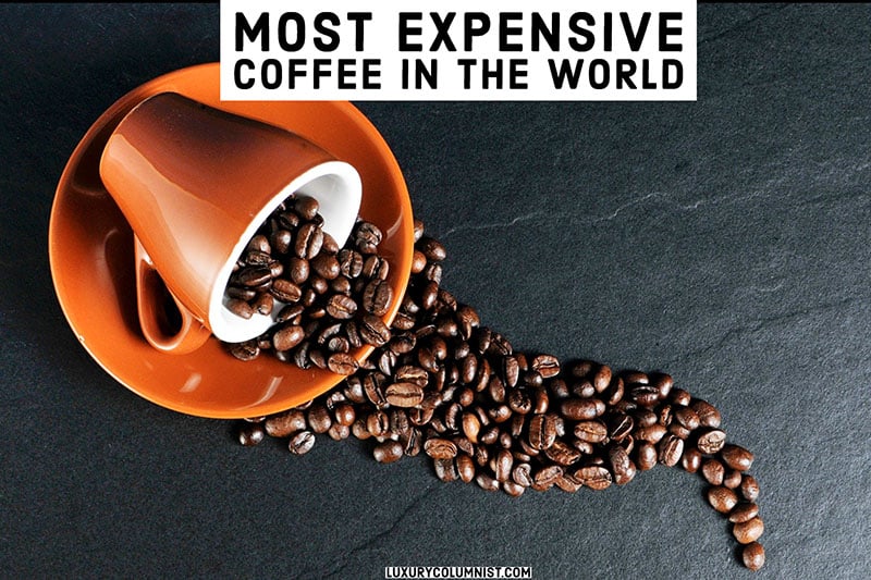 The most expensive coffee in the world