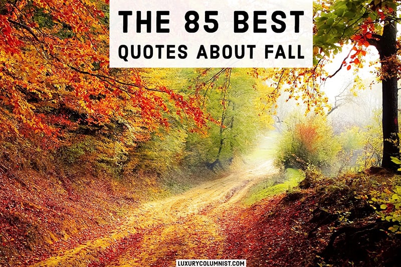85+ Inspirational Fall Quotes | Short, Happy And Funny Autumn Sayings
