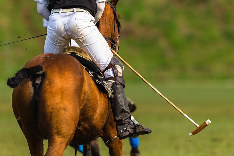 Polo is one of the most expensive hobbies in the world