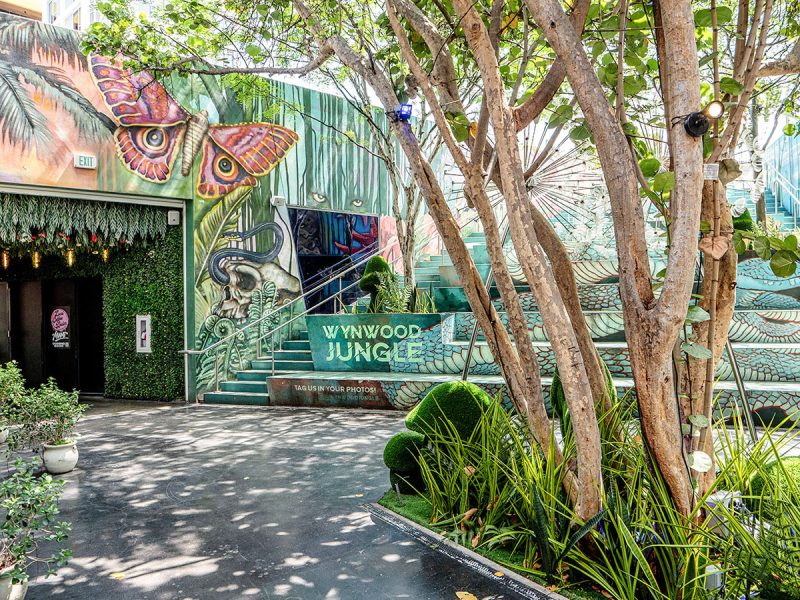 Wynwood Jungle in Miami