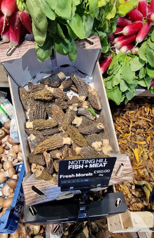 Fresh morels in London at Notting Hill Fish + Meat
