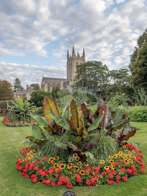 Abbey Gardens in bloom