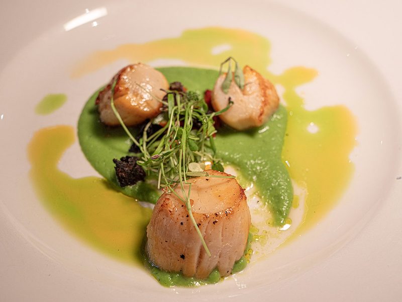 Scallop starter
