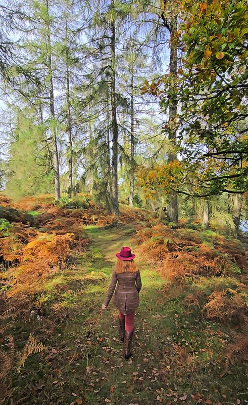 Gilpin Lake House walk