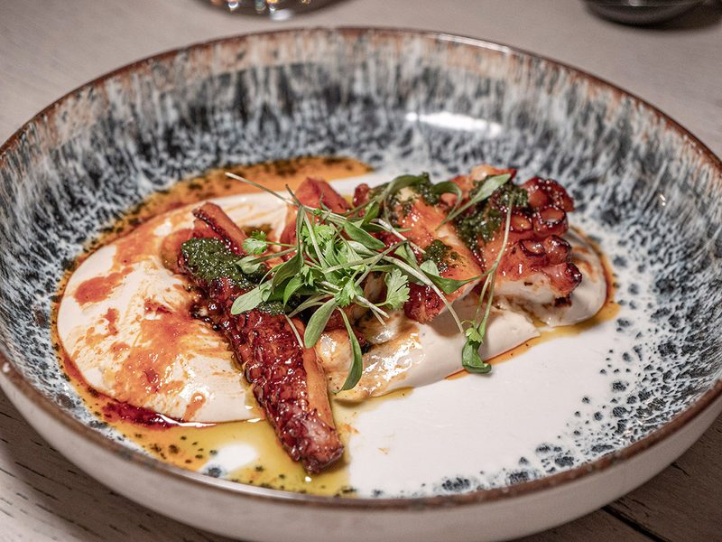 Octopus at Gilpin Spice